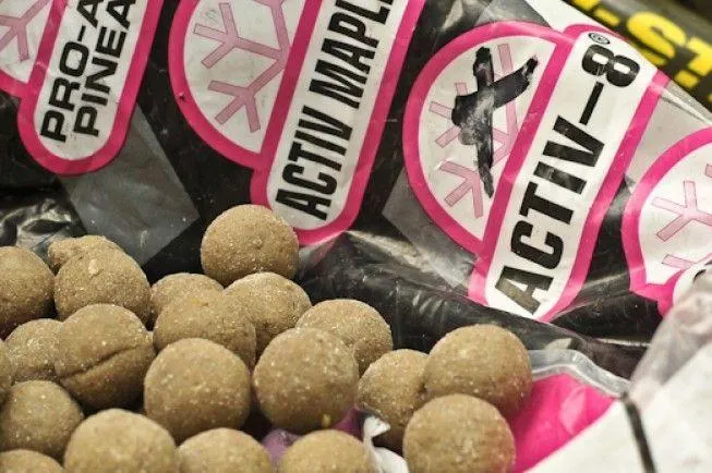 Mainline Activ-8 Freezer Boilies