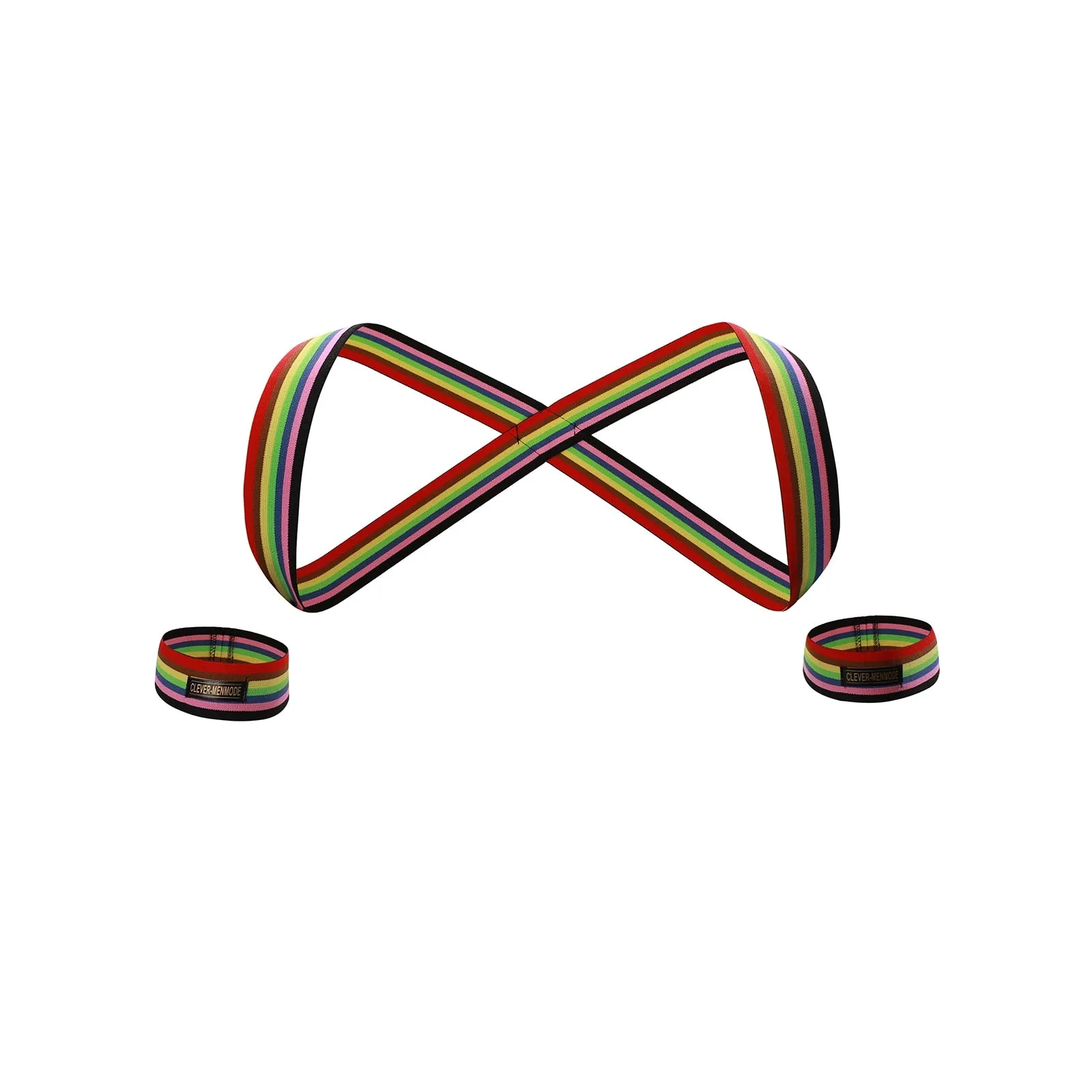 Rainbow Strap Harness