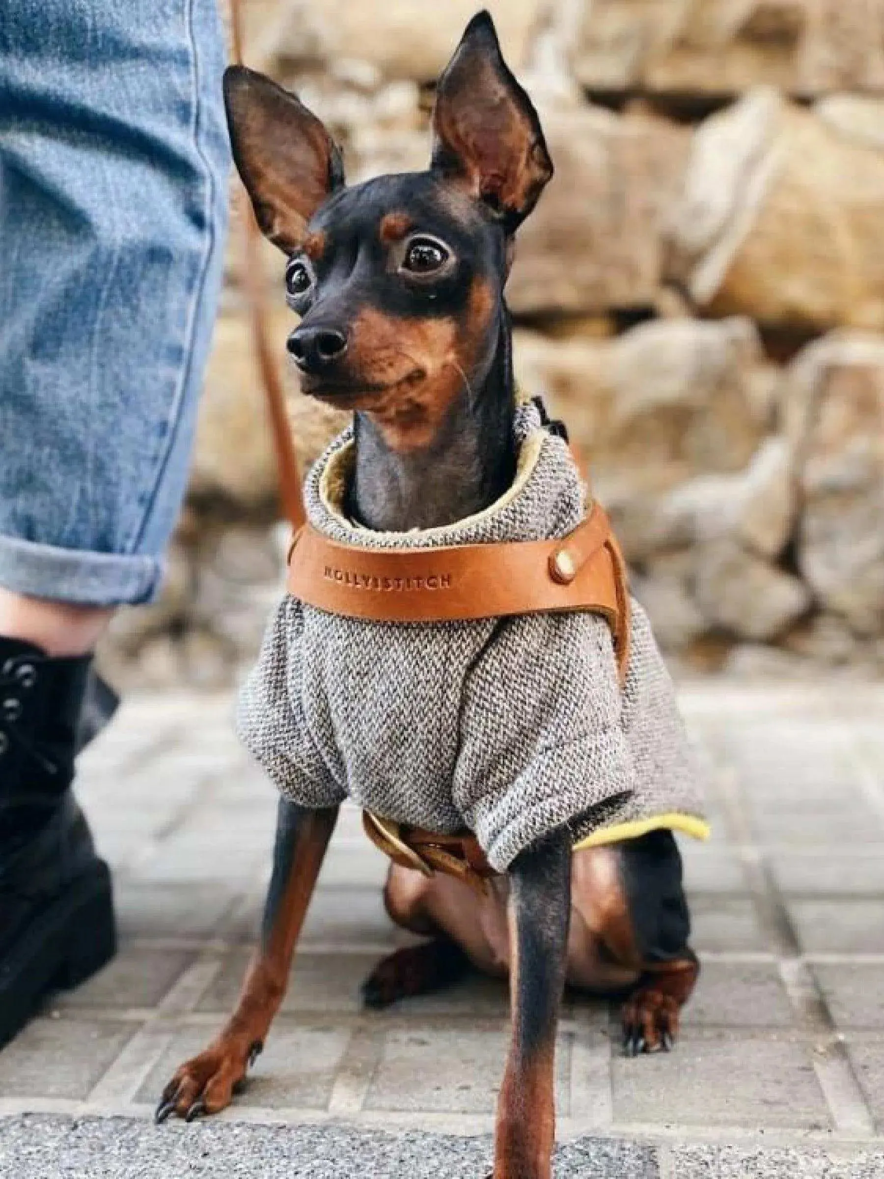 [SAHARA COGNAC] BUTTER LEATHER DOG HARNESS