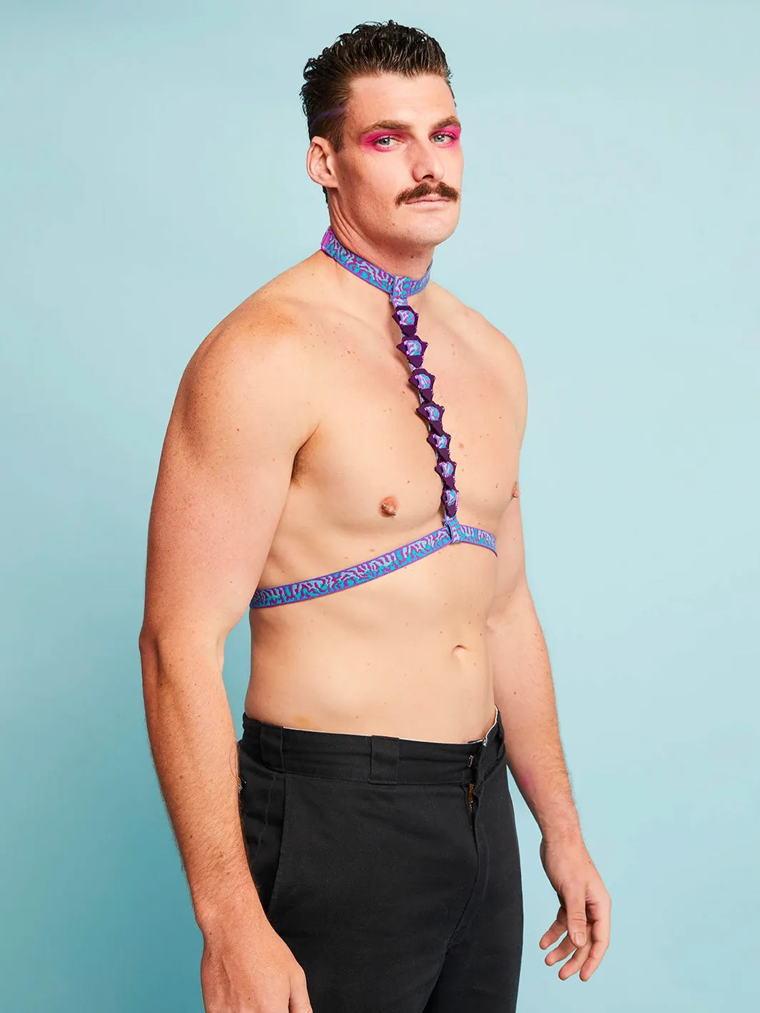 SPINE HARNESS