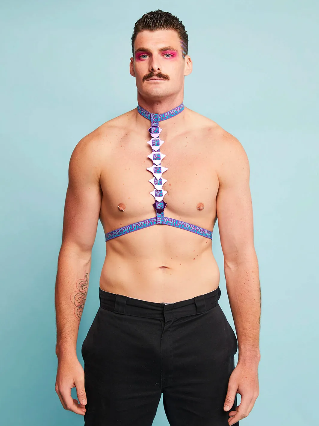 SPINE HARNESS