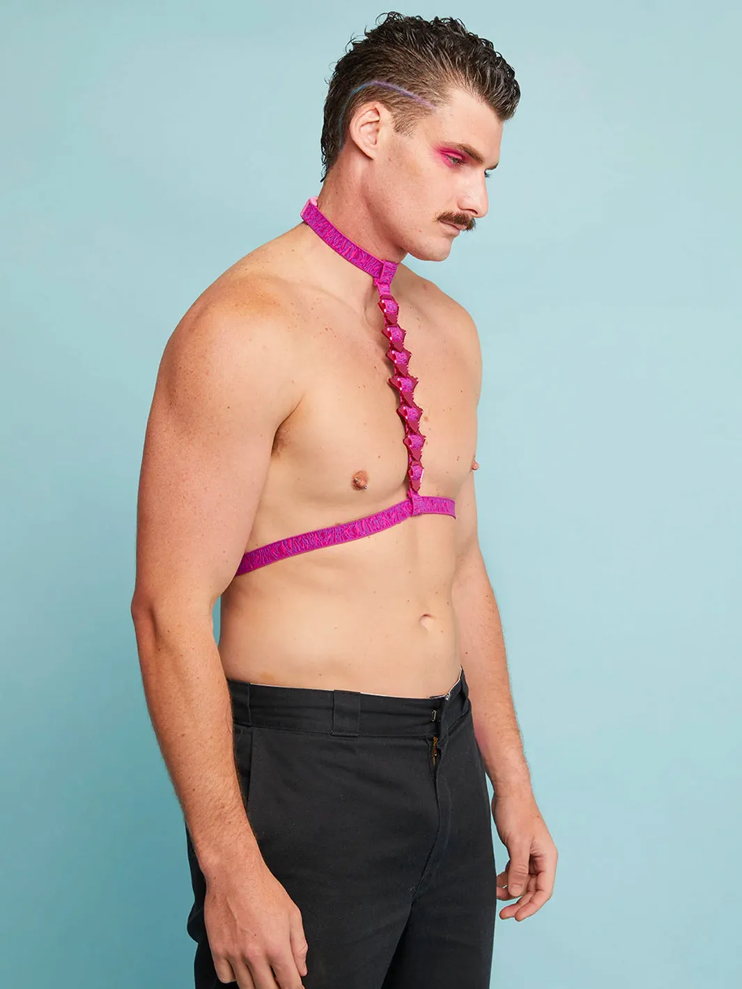 SPINE HARNESS
