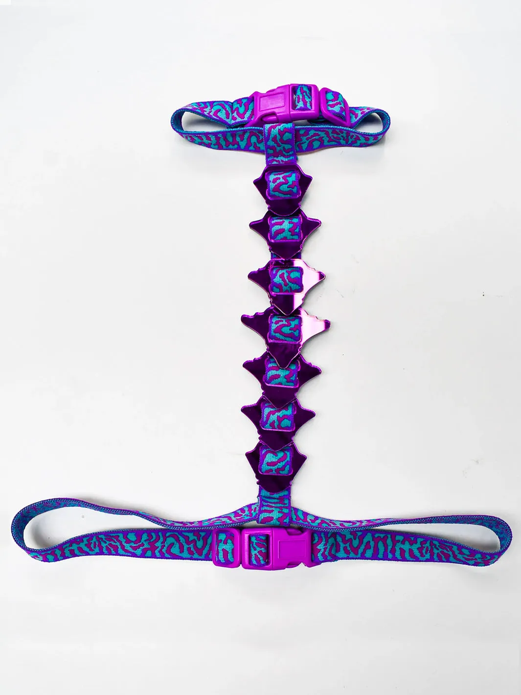 SPINE HARNESS